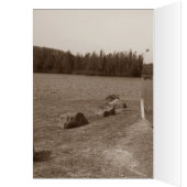 Retro shiny trip camping caravans (Binnen (Links))