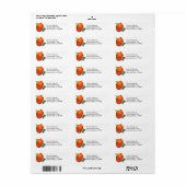 Retro Sinaasappels met Flowers Editable Retouradre Etiket (Full Sheet)