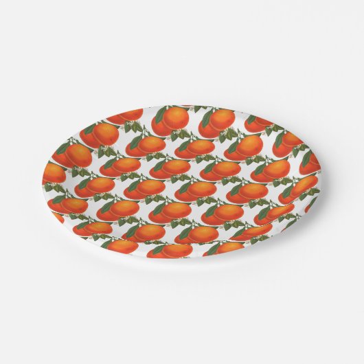 Retro Sinaasappels Patroon Papier Borden Papieren Bordje (Gekanteld)