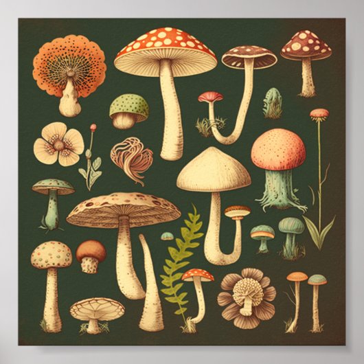 Retro Small paddenstoelen Collectie 2 Poster (Voorkant)