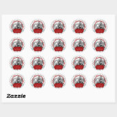 Retro Sneeuwvlokken Foto Sticker B2 (Vel)