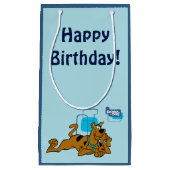 Retro Squares Scooby-Doo neer Klein Cadeauzakje (Voorkant)