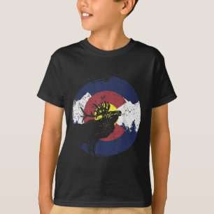 Retro State Flag Colorado Rocky Mountains Skiing A T-shirt