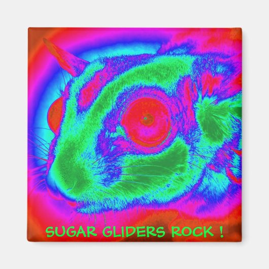 Retro Sugar Glider Magnet (Voorkant)