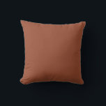 Retro Terracotta Kussen<br><div class="desc">Het stevige terracotta accent werpen kussen om met andere stevige kleurtinten voor uw huisdecor te mengen.</div>