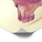 Retro Tortelduifjes Kissende Pigeon Poster (Hoek)