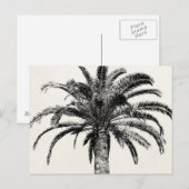 Retro Tropical Island Palm Tree (zwart-wit) Briefkaart (Voorkant / Achterkant)
