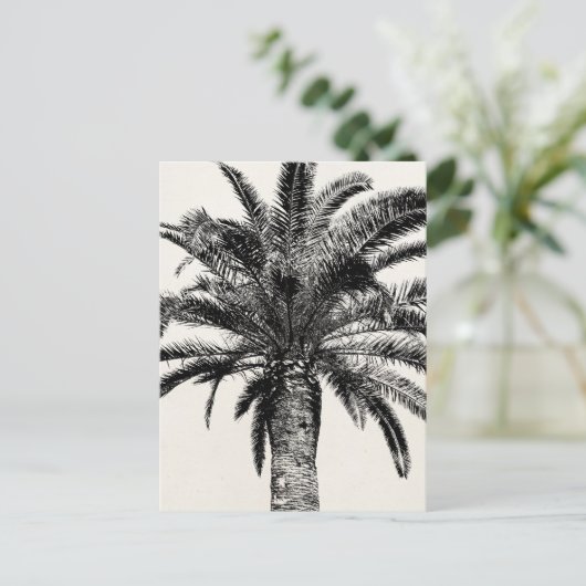 Retro Tropical Island Palm Tree (zwart-wit) Briefkaart (Staand voorkant)