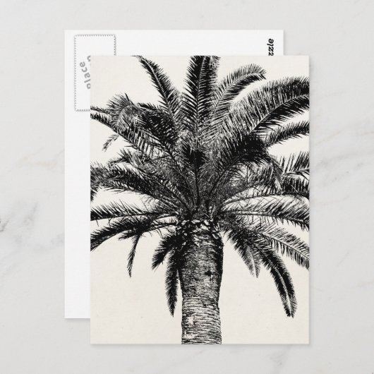 Retro Tropical Island Palm Tree (zwart-wit) Briefkaart (Voorkant / Achterkant)