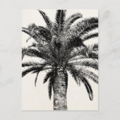 Retro Tropical Island Palm Tree (zwart-wit) Briefkaart (Voorkant)