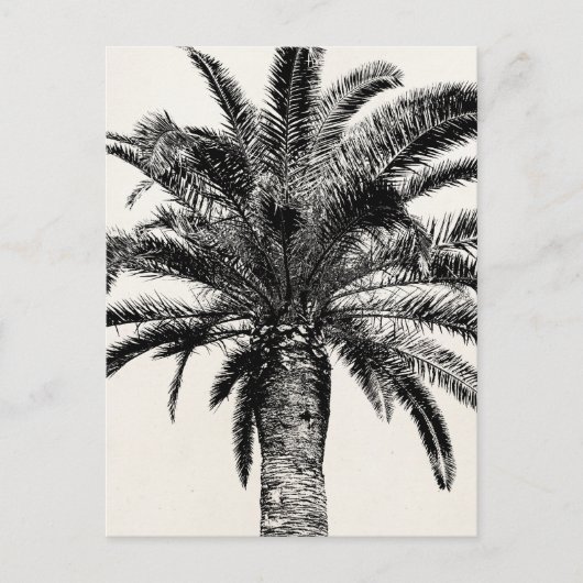 Retro Tropical Island Palm Tree (zwart-wit) Briefkaart (Voorkant)
