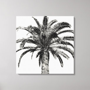 Retro Tropical Island Palm Tree (zwart-wit) Canvas Afdruk