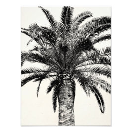 Retro Tropical Island Palm Tree (zwart-wit) Foto Afdruk