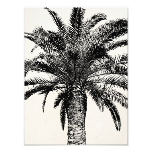 Retro Tropical Island Palm Tree (zwart-wit) Foto Afdruk (Voorkant)