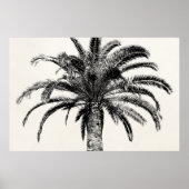 Retro Tropical Island Palm Tree (zwart-wit) Poster (Voorkant)