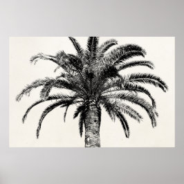 Retro Tropical Island Palm Tree (zwart-wit) Poster