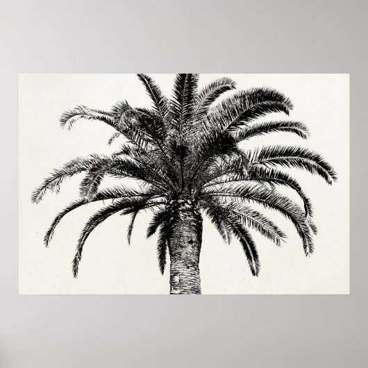 Retro Tropical Island Palm Tree (zwart-wit) Poster (Voorkant)