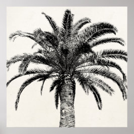 Retro Tropical Island Palm Tree (zwart-wit) Poster