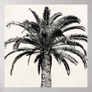 Retro Tropical Island Palm Tree (zwart-wit) Poster