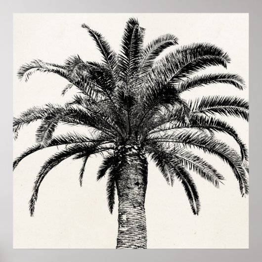 Retro Tropical Island Palm Tree (zwart-wit) Poster (Voorkant)