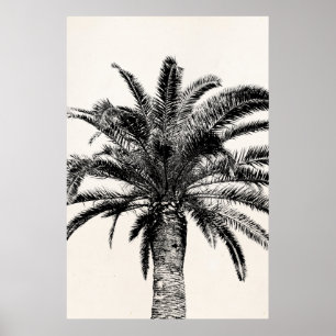 Retro Tropical Island Palm Tree (zwart-wit) Poster