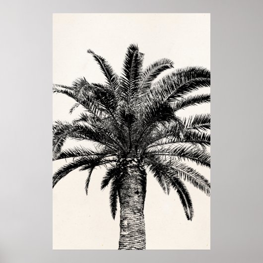 Retro Tropical Island Palm Tree (zwart-wit) Poster (Voorkant)