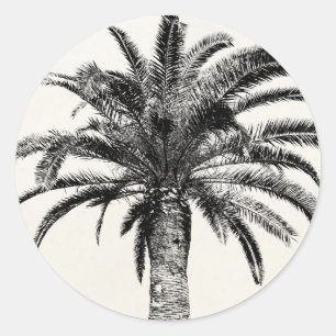 Retro Tropical Island Palm Tree (zwart-wit) Ronde Sticker