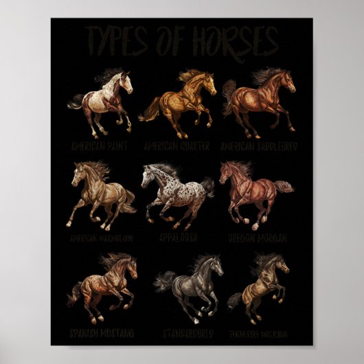  retro types van paardenras paardenras poster (Voorkant)