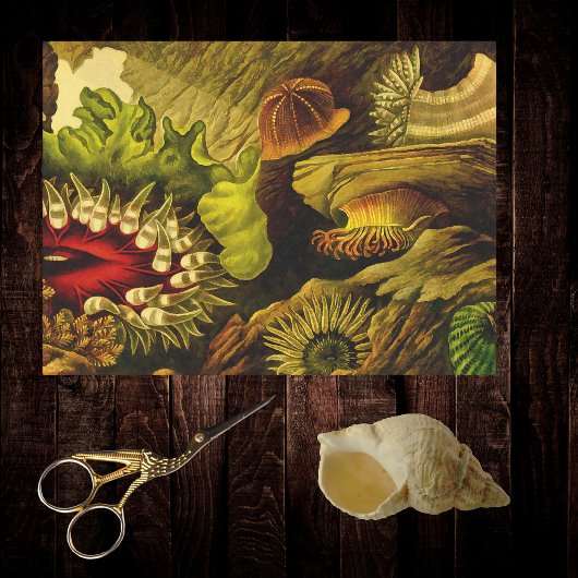 Retro Undersea Life Zee Anemonen & Coral 3 Stijlen Tissuepapier