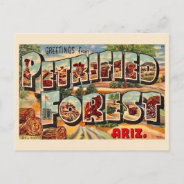 Retro versteend woud Arizona ansichtkaart Briefkaart