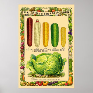 Retro Victoriaanse tijdperk botanische kunst van m Poster