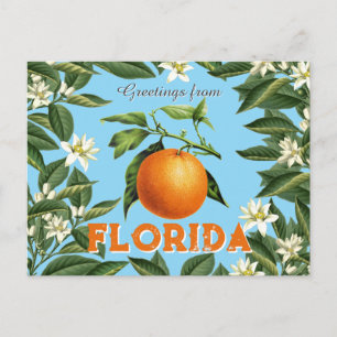 Retro Vintage Groeten uit Florida Sinaasappel Frui Briefkaart