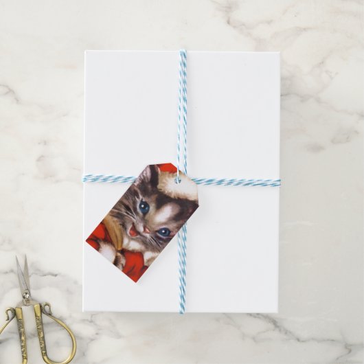 retro vintage kerstcat Holiday Cadeaulabel (Met Touw)