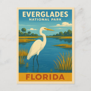 Retro Vintage Travel Florida Everglades Natuur Briefkaart