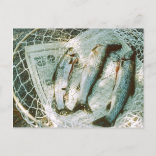 Retro Vissen net en forel Briefkaart