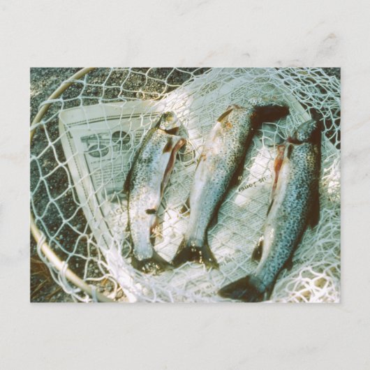 Retro Vissen net en forel Briefkaart (Voorkant)
