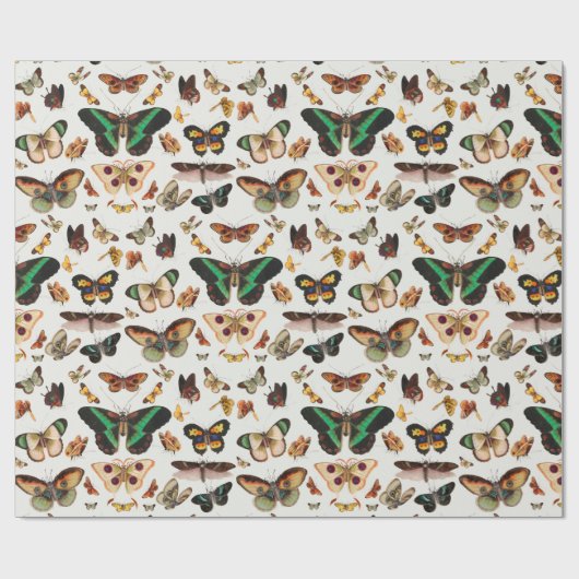 Retro-vlinders voor het verpakken van papier (Vlak)