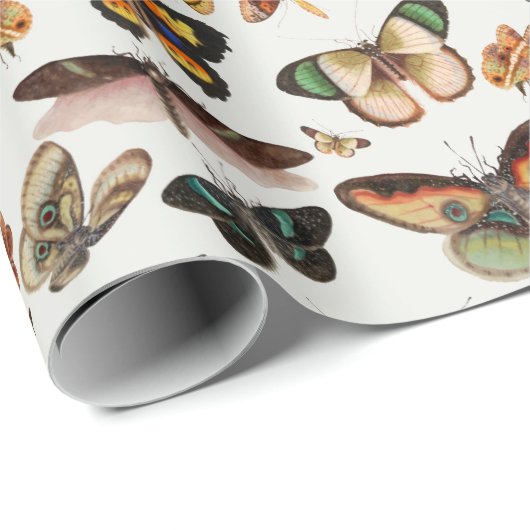 Retro-vlinders voor het verpakken van papier (Rol Hoek)