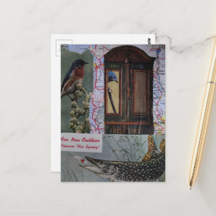 Retro vogels en vissen collage briefkaart