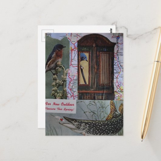 Retro vogels en vissen collage briefkaart (Voorkant / Achterkant in situ)