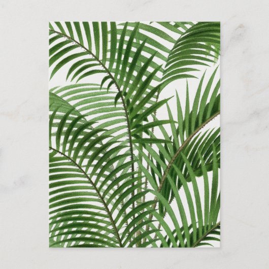  retro Waterverf palmbladeren Feestdagenkaart (Voorkant)