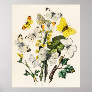Retro Yellow Butterfly en bloemen Poster afdrukken