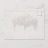 Retro Yellowstone National Park Briefkaart (Achterkant)