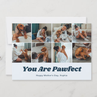 Retro You Are Pawfect Dog Mom 12 Photo Blue Feestdagenkaart