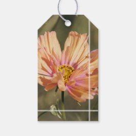 Retro Zomer Cosmea Bloesems Cadeaulabel
