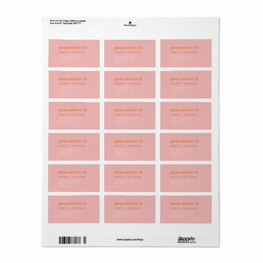 Retro Zomer | Roze en Oranje RSVP-Adresetiketten Etiket (Full Sheet)
