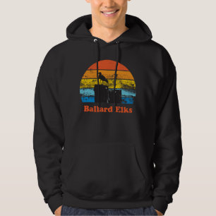 Retro Zonsondergang & Zeemeeuw Hoodie