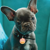 Retro Zonsondergang Zonnestralen Gepersonaliseerde