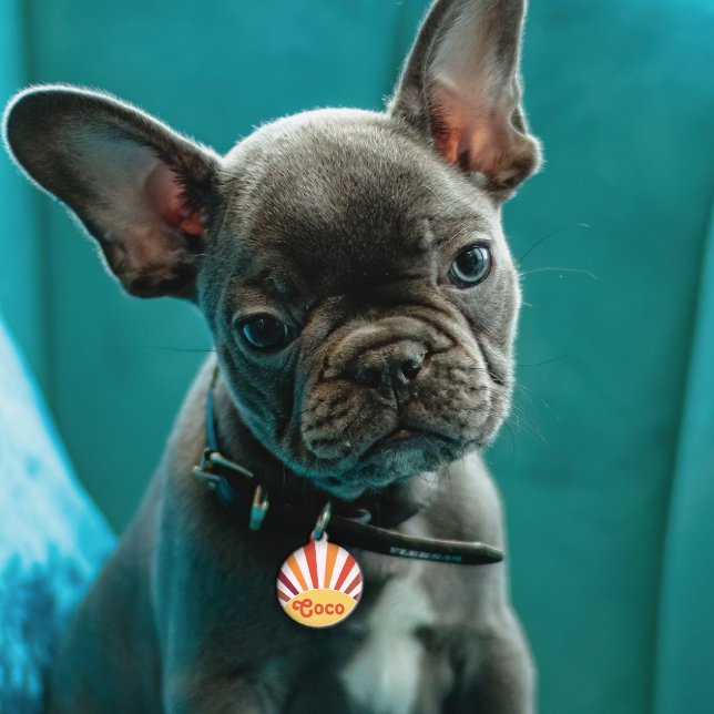 Retro Zonsondergang Zonnestralen Gepersonaliseerde Huisdierpenning (Creator heeft geüpload)