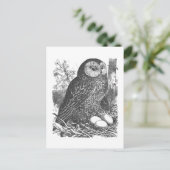 Retrobroeduil tekening briefkaart (Staand voorkant)